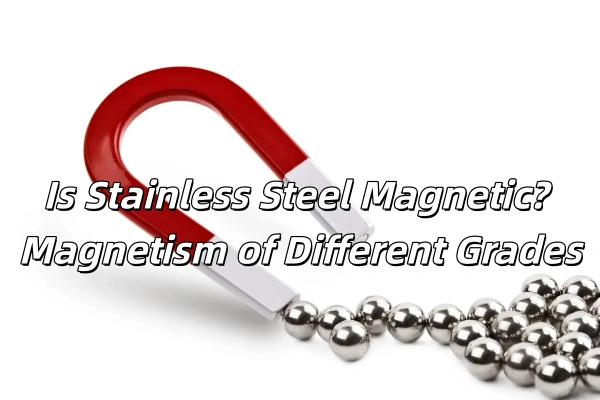 Magnetic Stainless Steel