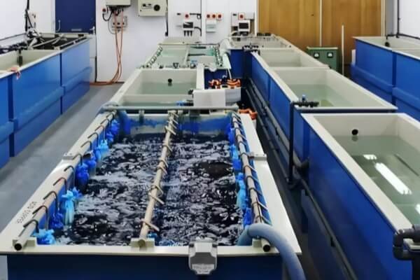 Electroplating Services